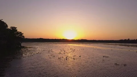 Drone Flying Towards Sunset Over Lake in Ocala Florida in 4K Stock Footage 93853240
