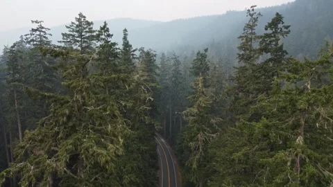 Drone flying up trees above road in port alberni with truck driving down road 스톡 동영상 280007325