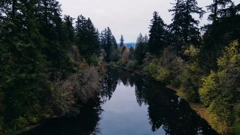 Drone Flying up the Tualatin River on a Cloudy Day Stock-Footage 235222644