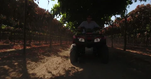 Drone flying under trellis ATV quad driving Stock-Footage 67330577