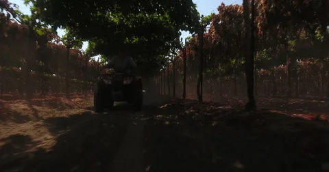 Drone flying under trellis ATV quad driving fast Stock-Footage 67330683