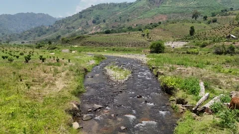 Drone flying upstream over crystal clear stream through farmland 스톡 동영상 336973233