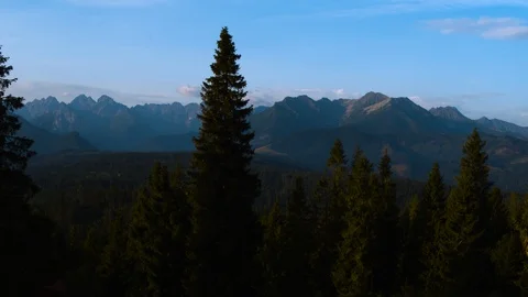 Drone flying into the valley between the trees 4k HDR H264 Stock Footage 88322332