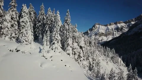 Drone is flying very close to snowy trees in Swiss Alps. Beautiful mountains in Stock Footage 224537844