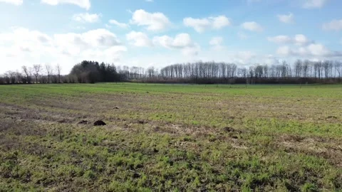 A drone flying very low and fast over agricultural land in northern Germany Stock Footage 345759681