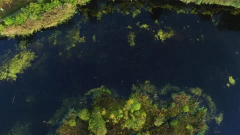 Drone flying very slowly forward over forest and lake 4K Stock Footage 237375268