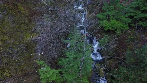 Drone Flying Up Watson Falls View 2 Stock Footage 84081670