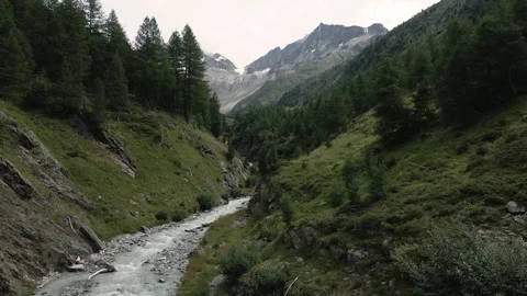 Drone flying on a white alpine river surrounded by pine trees - Val Nera Livigno Video stock 256154236