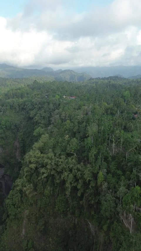 Drone Flyover Above Dense Tropical Rainforest Landscape Stock Footage 340542660
