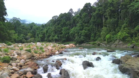 Drone flyover above Sungai Tembeling rapids, Pahang, Malaysia 動画素材 342780296