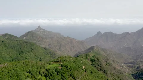 Drone Flyover of Anaga Rain Forest, Tenerife Stock Footage 330271627