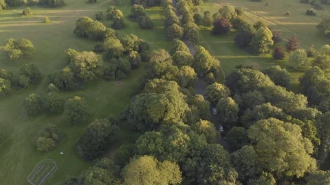 Drone flyover birds eye view of green park &amp; beautiful trees at golden hour Stock Footage 111976751