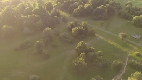 Drone flyover birds eye view of green park &amp; beautiful trees at golden hour Stock Footage 111977233