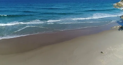 Drone Flyover of Blue Waves and Surfers at Beach Stock-Footage 78320435