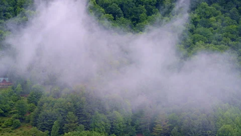 Drone flyover drifting across a peaceful, fog-hushed valley. Stock Footage 320857608