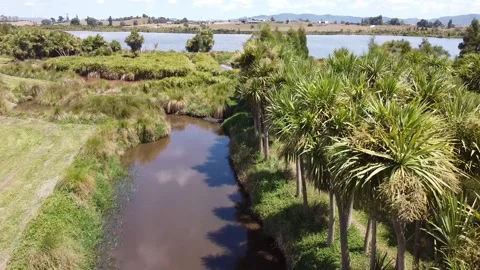 Drone FlyOver Effluent Ponds and Duck Shooters MaiMai Stock Footage 201177390