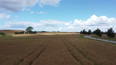 Drone Flyover  Fields In Summer Stock Footage 136548959