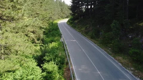 Drone Flyover of Forest Road with Moving Car on Sunny Day  Trebevic Mountain Stock Footage 313548262