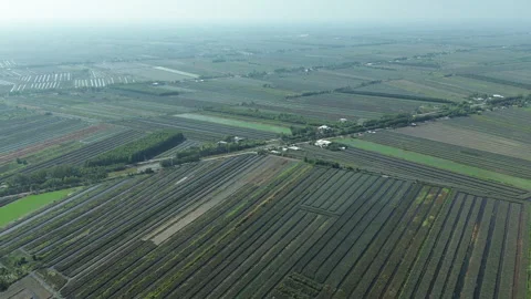 Drone Flyover of Geometric Farming Fields in Mekong Delta, Southern Vietnam 库存影片 329917866