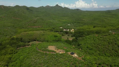 Drone Flyover Hofi Mango Green Landscape 4K-08 Video stock 312290940