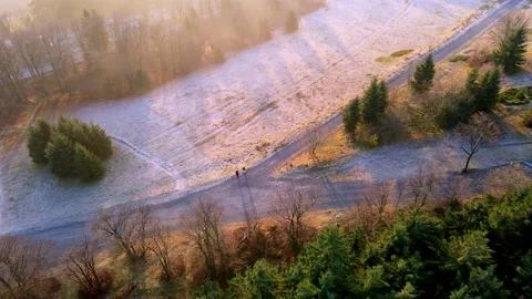 Drone flyover, landing in the Forest Mountain Above Clouds, Czech Republic Stock Footage 169591803