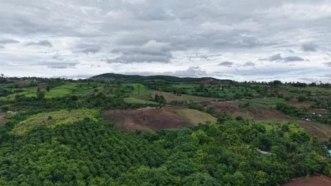 Drone Flyover of Mountain Forest After Rain – Quiet and Serene Stock Footage 310513553