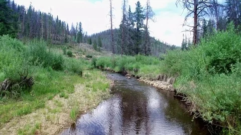 Drone flyover mountain stream Stock Footage 80358050