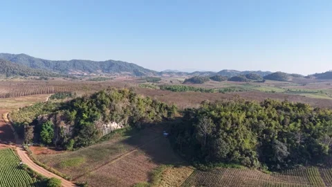 Drone Flyover of Organized Crop Rows and Rolling Hills Stock Footage 326176655