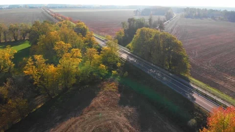 Drone flyover over road between trees and barren fields at daytime lens flares Stock Footage 138761530