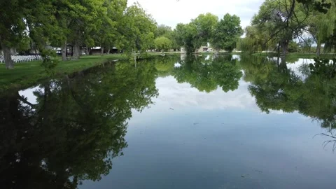 Drone flyover of a pond and trees Stock Footage 318198252