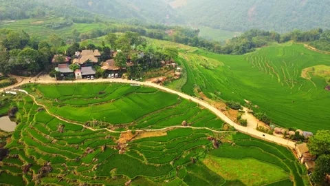 Drone Flyover of Rice Terraces and Houses Video stock 344238370