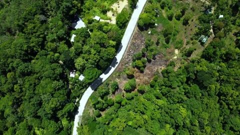 Drone Flyover of Road Through Lush Tropical Forest Stock Footage 337817749