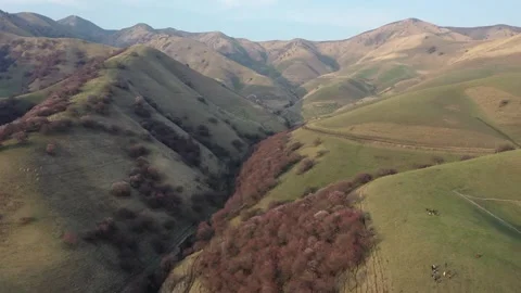 Drone Flyover Spring Blossom Valley Winding Path China Stock Footage 339641100