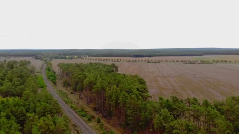 Drone flyover trees, fields and road during daytime Stock Footage 138753696