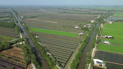 Drone Flyover of Triangular Farmland by Canals in Mekong Delta, Southern Vietnam Stock Footage 329917682