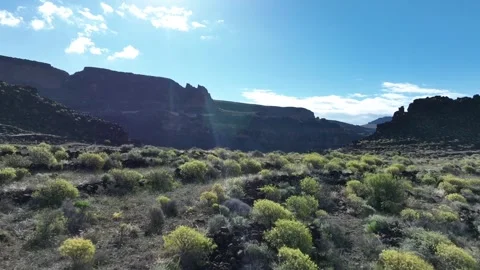 Drone Flyover of Tropical Rustic Terrain, Dramatic Valley – Gran Canaria Stock Footage 309880376