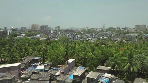 Drone flyover vegetation revealing sprawling Dharavi slum in Mumbai. India Stock Footage 243341601