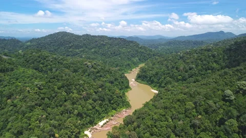 Drone Flyover of Winding Sungai Tembeling in Primary Rainforest, Malaysia 動画素材 342782386