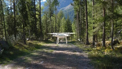 A drone fly's down a path in a lush pine green forest. Stock Footage 95837609