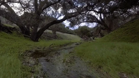 Drone fly's low to the ground tracing a small creek that only runs after Video stock 102768697