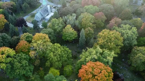 Drone flys over fall trees in cemetary with an old church Stock Footage 293852765