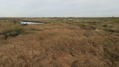 Drone Flys Over Man Sitting Down Then Over Peat Bog, 4K 動画素材 219142141