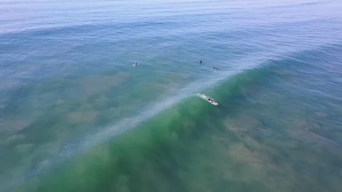 Drone flys over surfer dropping in on wave 스톡 동영상 71134615