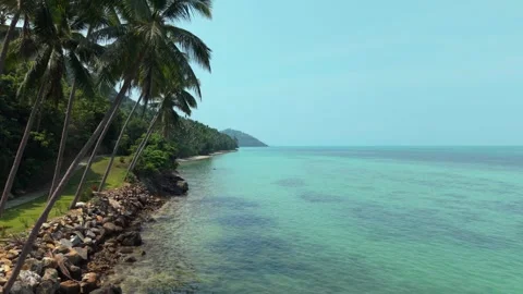 Drone flythrough between palm trees on tropical coast Stock Footage 310622934