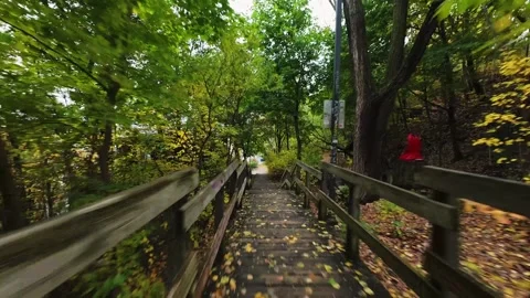 Drone Flythrough Over Wooden Path in Autumn Forest — Cinematic FPV 4K Clip Stock Footage 319591609