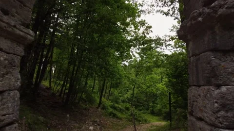 Drone Fly‑Through Under Ancient Roman Arch in Forest Stock Footage 307406626