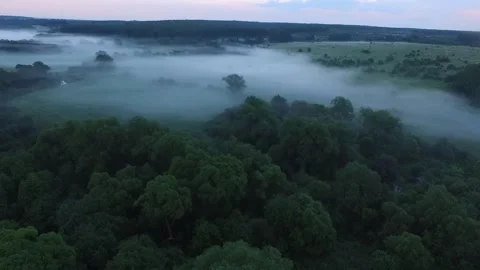 Drone fogs Stock Footage 155759632