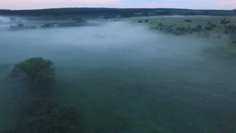 Drone fogs Stock Footage 155759640