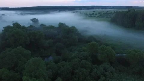 Drone fogs Stock Footage 155759646