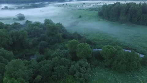 Drone fogs 스톡 동영상 155759676